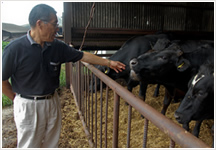 契約農家を視察し、牛のコンディションを確認する鈴木社長。
