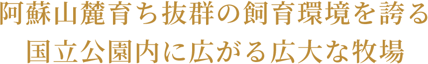 阿蘇山麓育ち抜群の飼育環境を誇る国立公園内に広がる広大な牧場