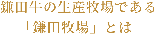鎌田牛の生産牧場である「鎌田牧場」とは