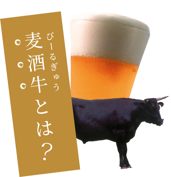 麦酒牛とは？